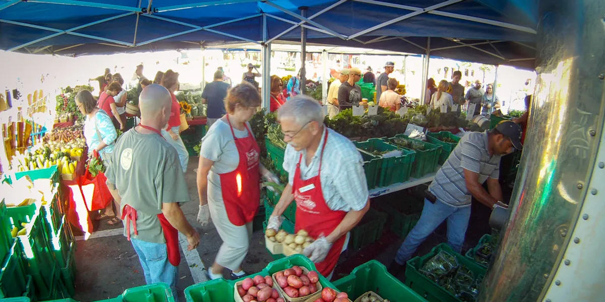 معدل تكرار الشراء