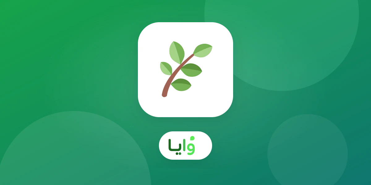 نباتات وأدوات زراعة مرتبة في مشتل ومركز حدائق